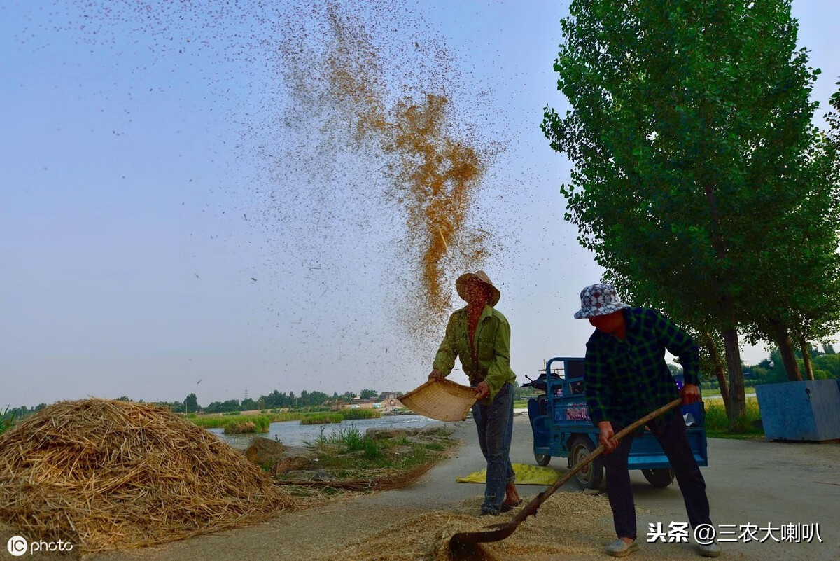 老祖宗总结的农谚，越看越有味儿！这些大白话，你记住多少？