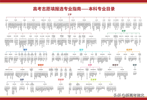 就业前景好的十大专业(十大就业前景好的行业)