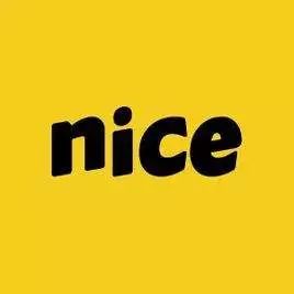 nice如何卖东西