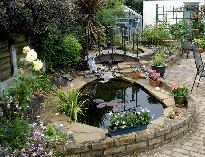 建鱼池的风水讲究 花园有鱼池好不好风水