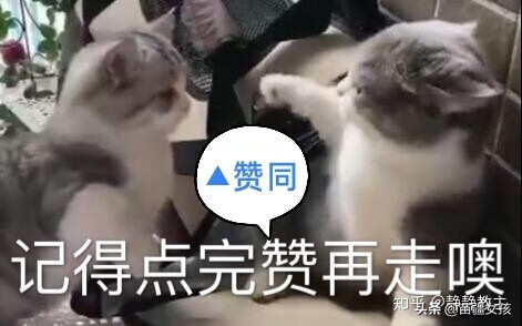 卫生巾是干什么用的?(卫生巾的作用)