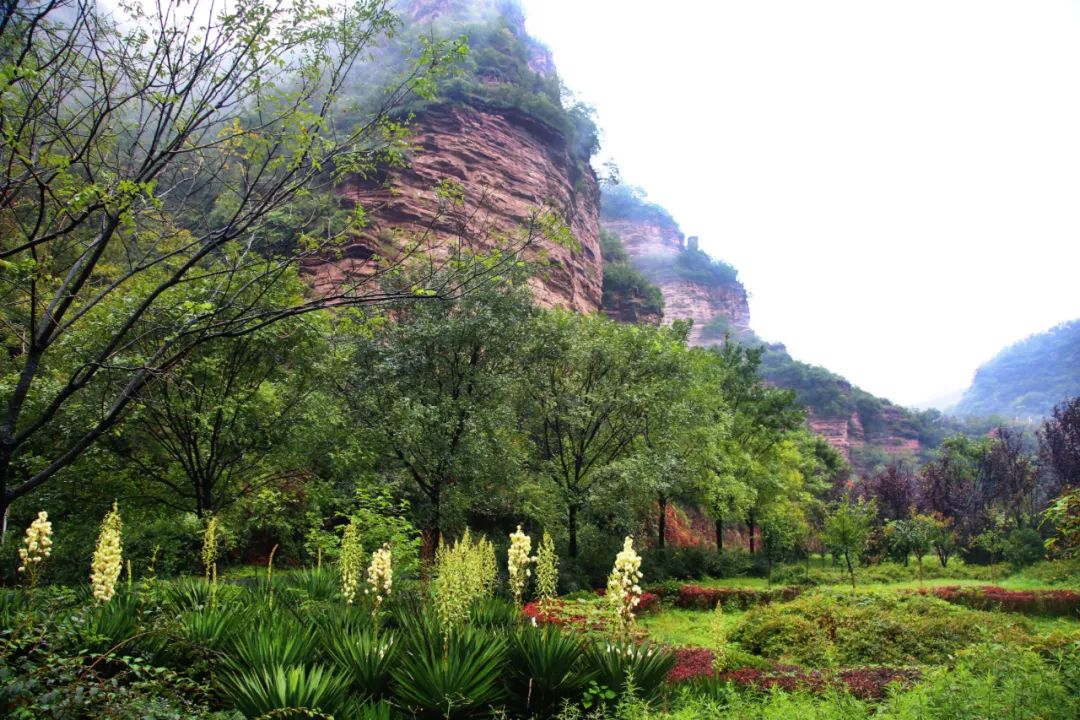 7月份适合去哪里旅游?(七月份自驾游适合去哪里旅游)