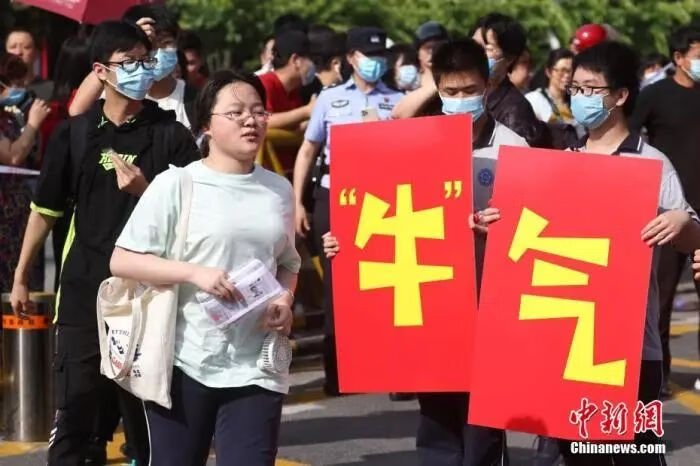 高考志愿填报技巧与指南(高考志愿填报技巧经验)