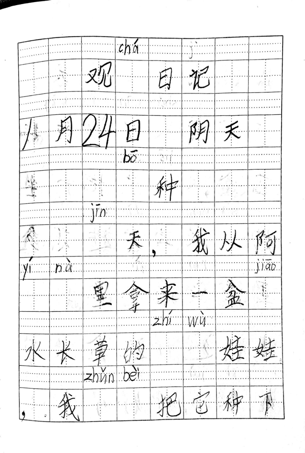 植物生长观察日记（1）