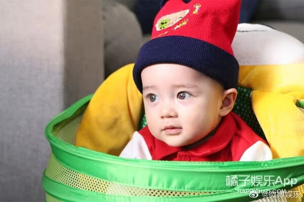 宝贝的新朋友是亲孙子吗(宝贝的新朋友的成员)