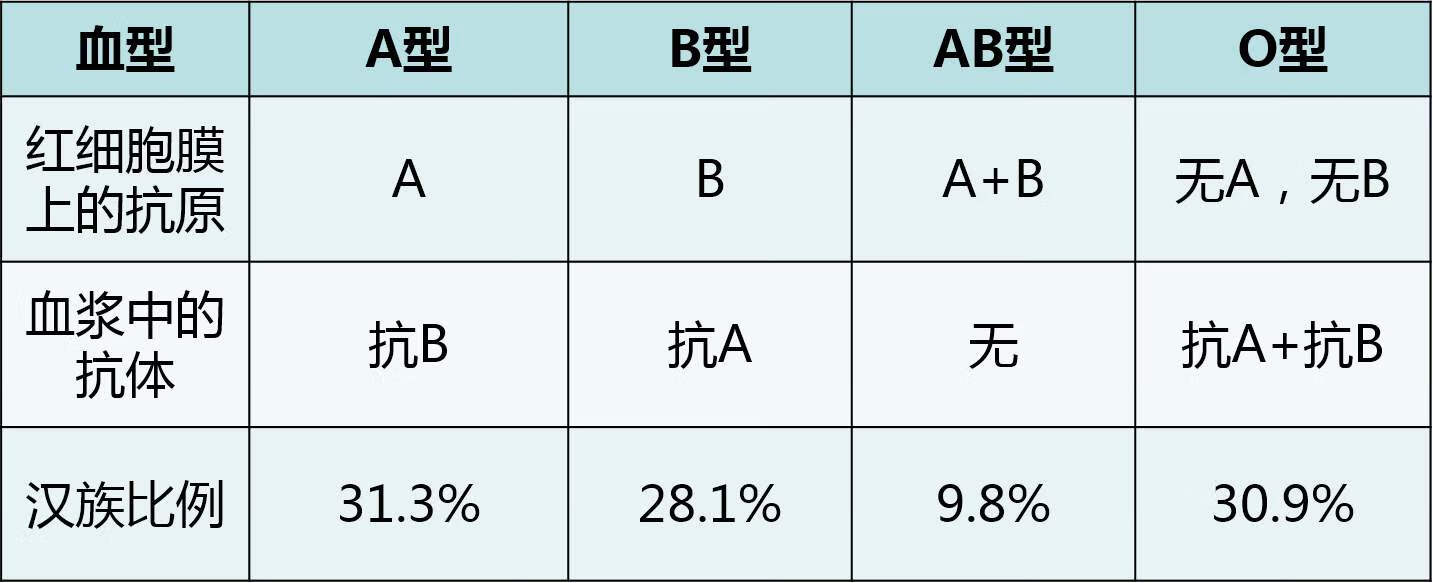 Rh血型鉴定图片