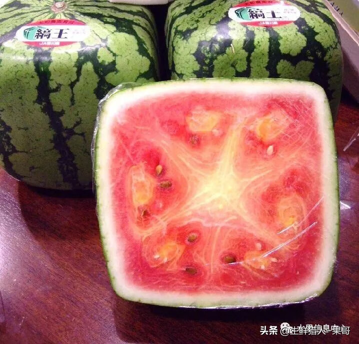 果(果蓏)
