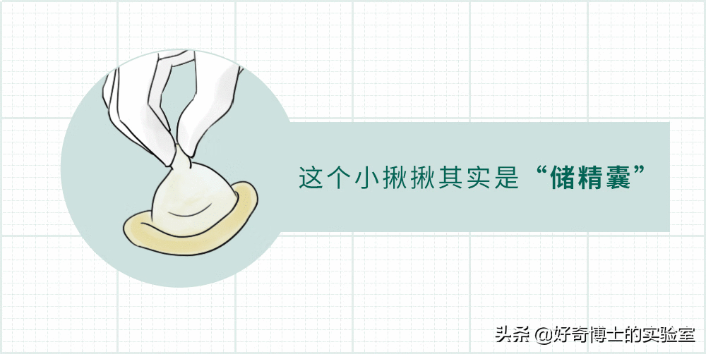 啥是狼牙棒避孕套(狼牙棒避孕套多少钱一盒)