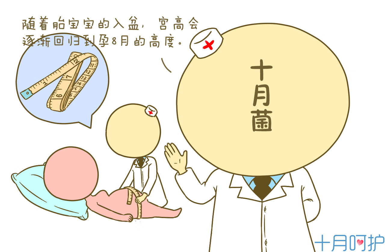 一般入盆后多久会生