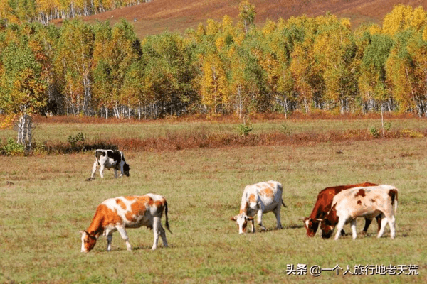 国庆还能去旅游吗？这16个宝藏地考虑一下