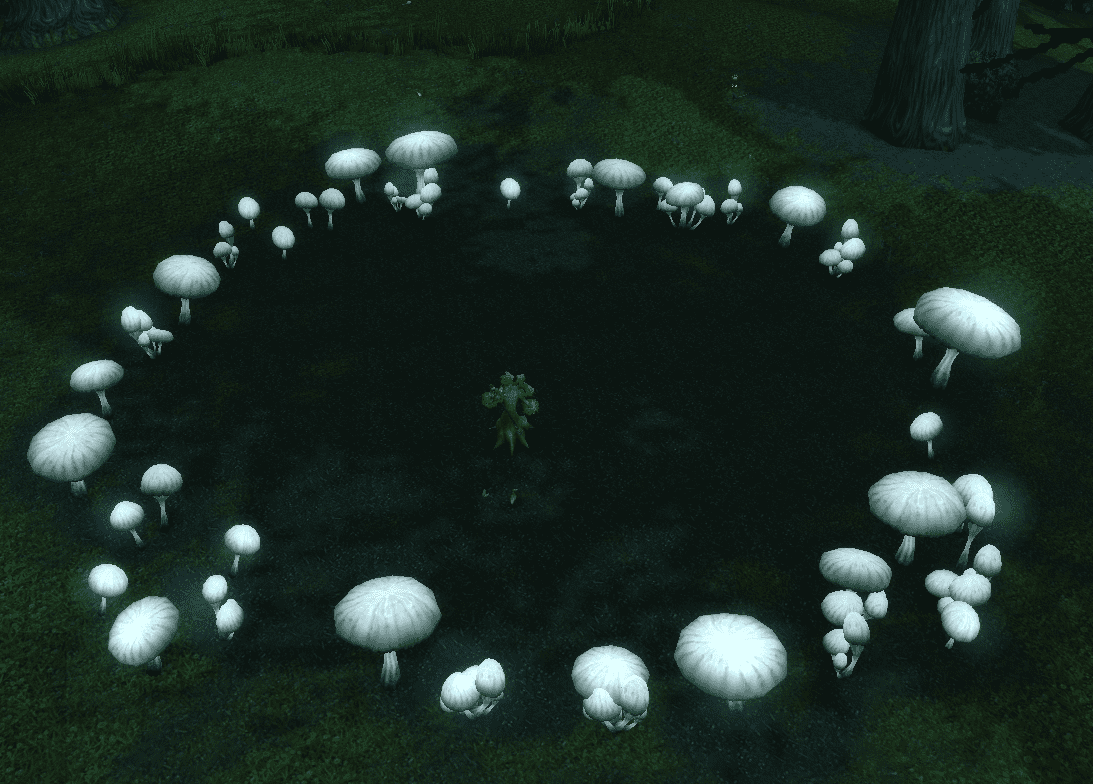 魔兽世界精灵龙(魔兽世界 暗夜精灵)