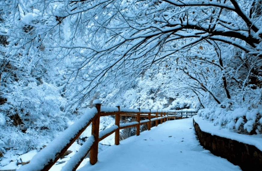 写写雪的古诗(写雪的古诗名句)