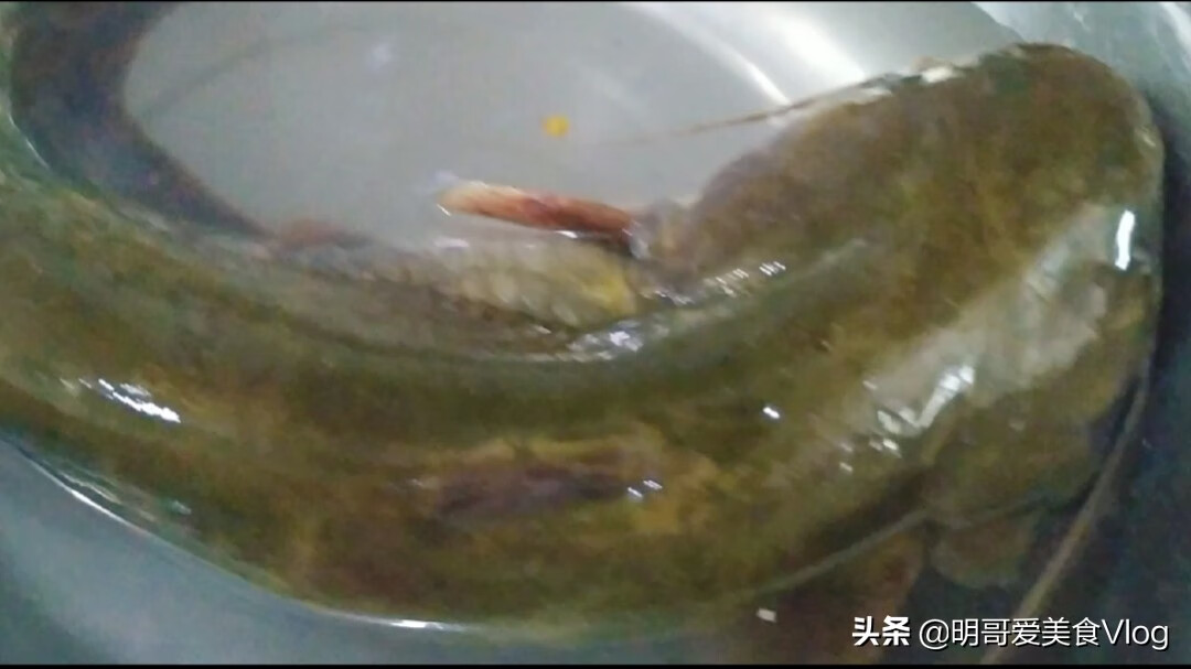 鲶鱼炖茄子的做法大全(家常清炖鲶鱼的做法)