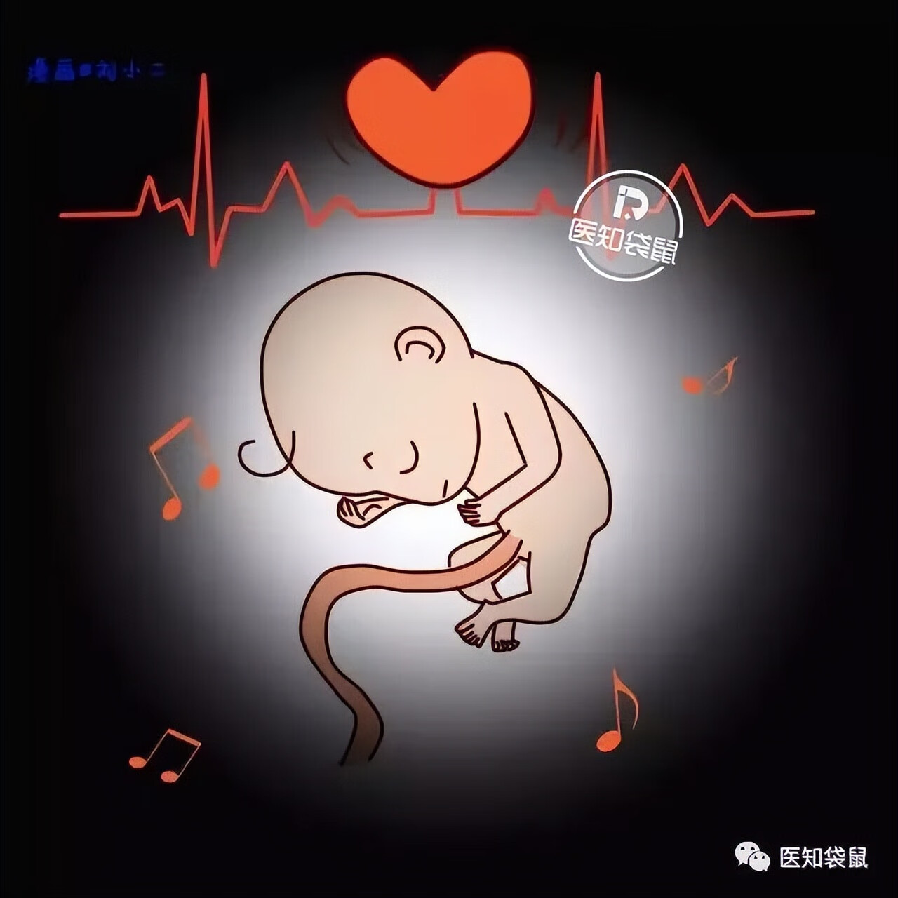 怀孕5个月胎儿图片(五个月胎儿图片 有多大)