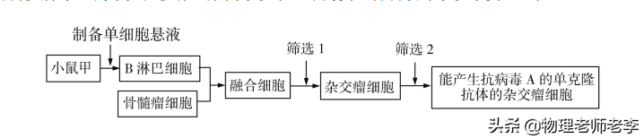 2020高考理综卷一(2020高考题理综试卷)