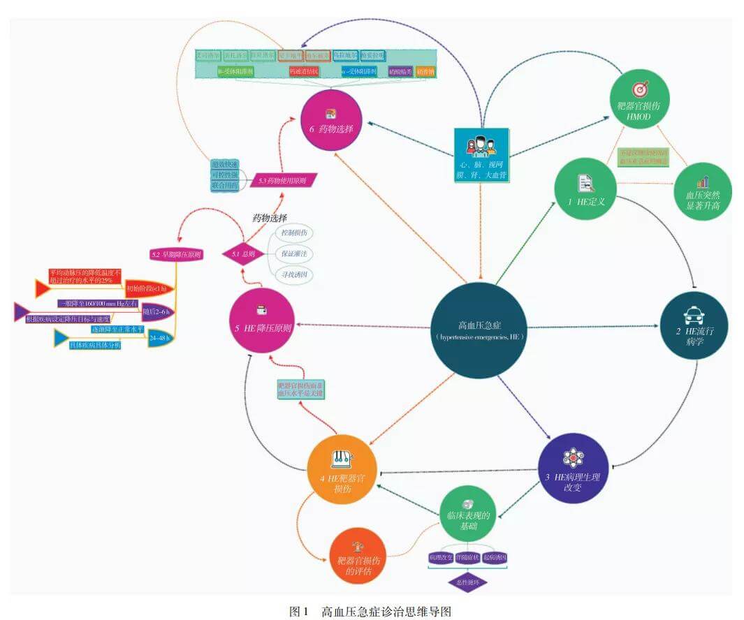 高血压急症诊断标准(高血压急症抢救流程)