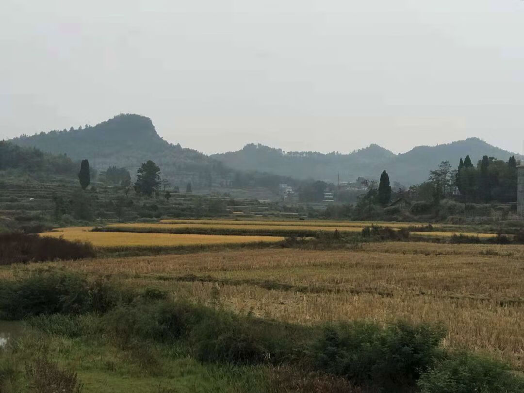 马骏 风水(河马风水寓意)