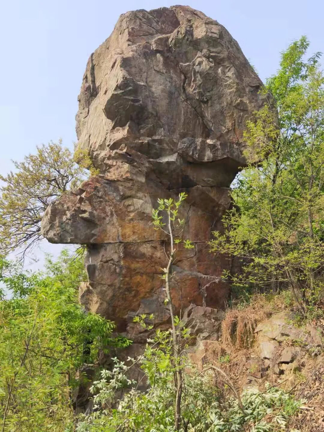 上山龙风水宝地(九龙缠顶风水宝地)