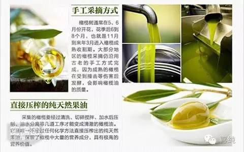 橄榄油去妊娠纹的方法(橄榄油真的去妊娠纹吗)