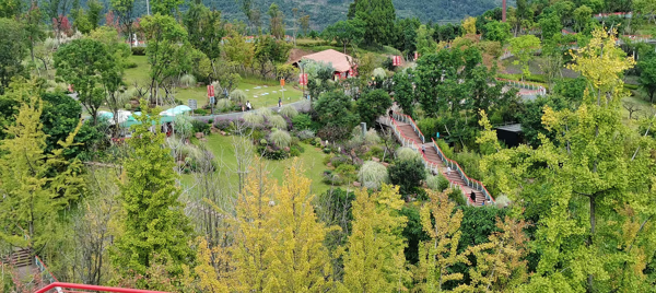 龙泉丹景山介绍(龙泉丹景山景区在哪儿)