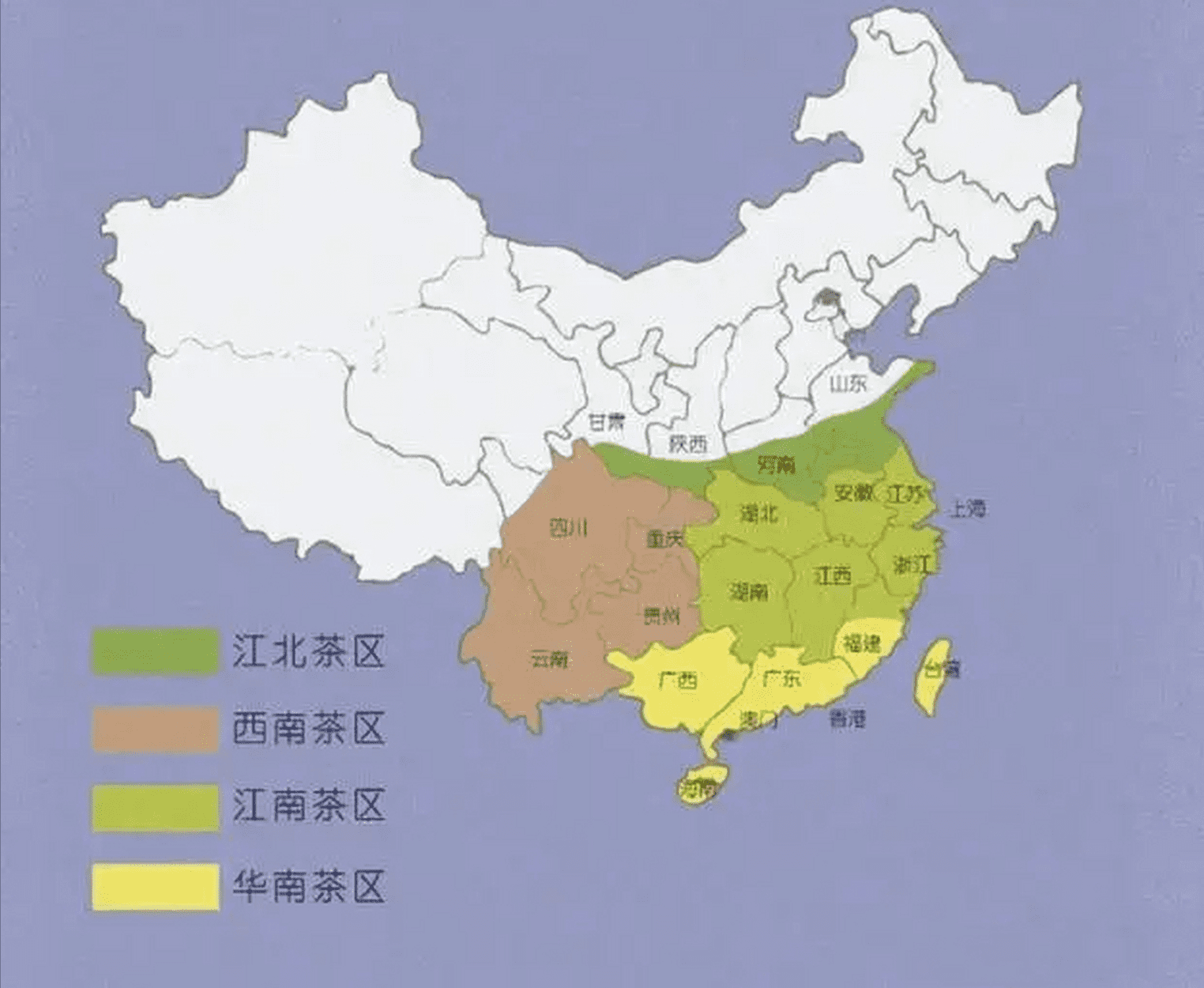 毛尖是什么茶类(毛尖是什么茶型)