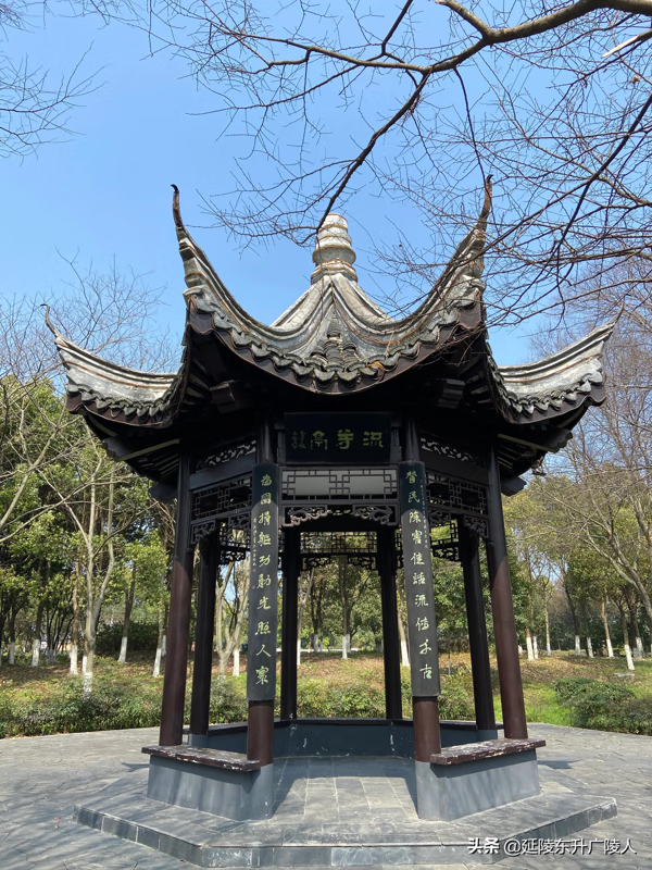 宜兴阳山荡风景区(金湖荷花荡景区图片)