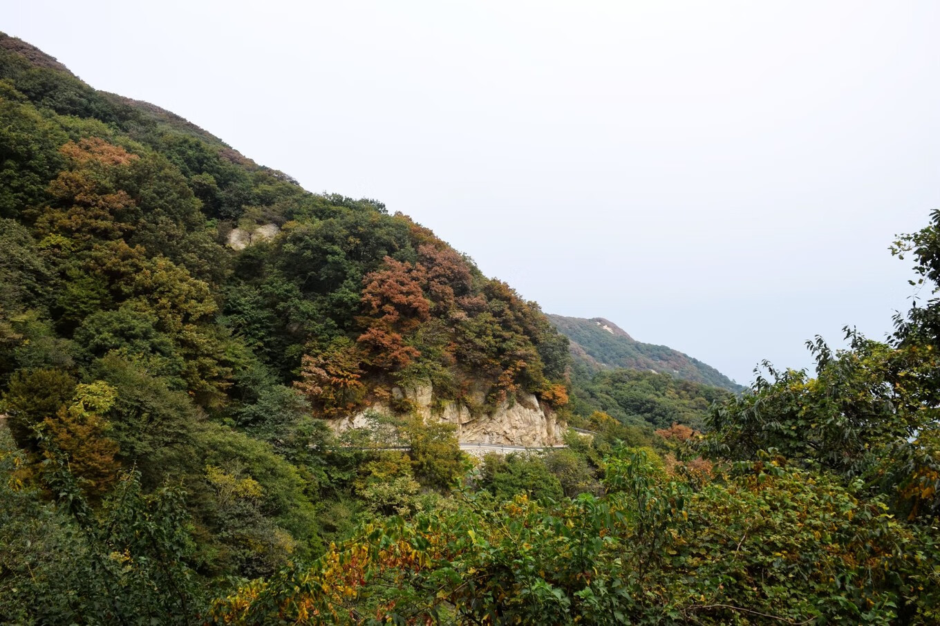 桐柏山景區位於河南省桐柏縣西南方位,緊挨桐柏縣城主城區.