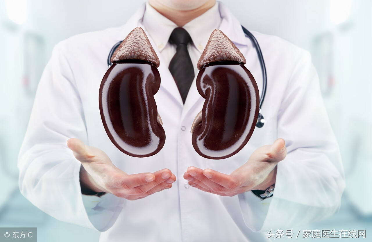 吃什么可以补肾气(补肾吃什么东西效果最好)