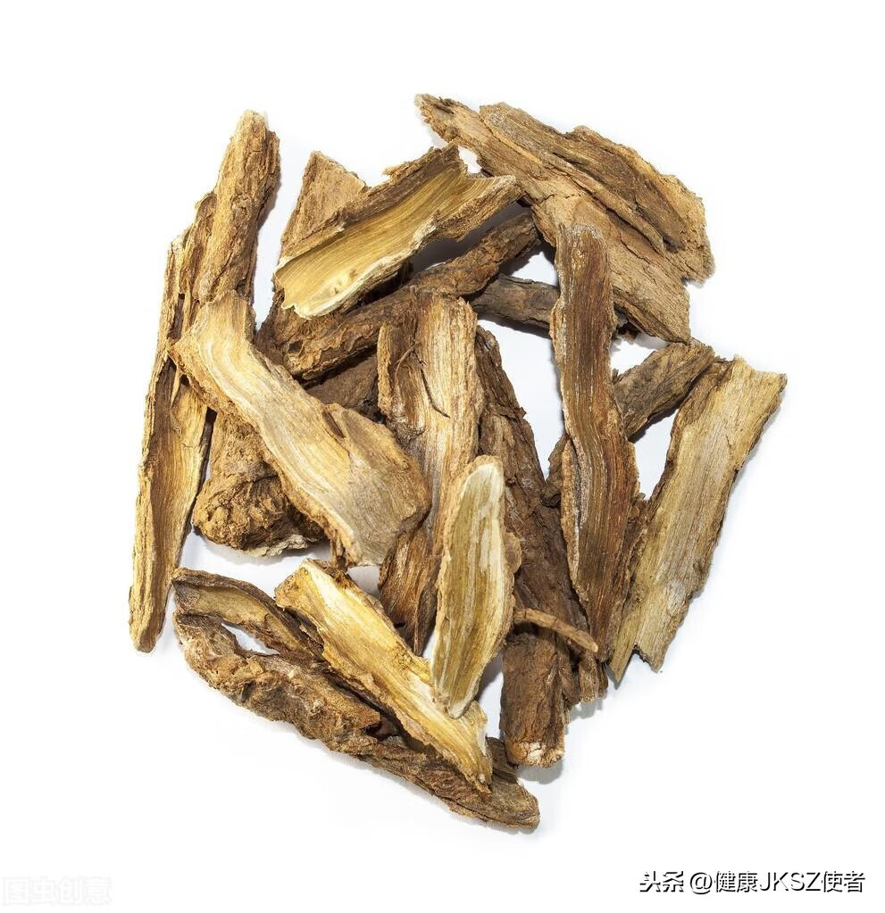 “五加皮”的功效及其应用