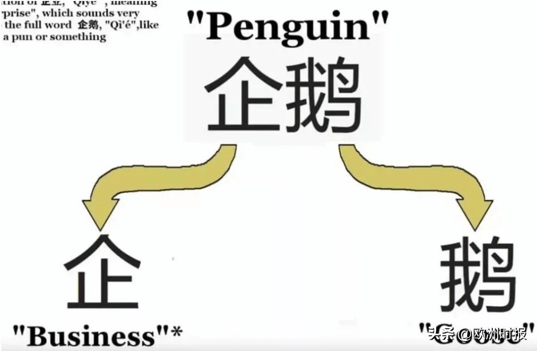笑出猪叫表情包(笑出猪叫gif)