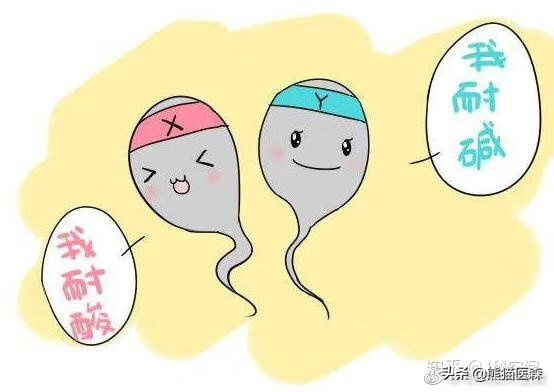 精液好喝吗(精子可以吃吗)