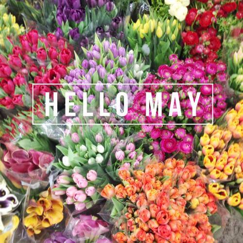mayiloveyou是什么意思