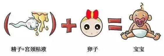 月经推迟多久算怀孕了(月经推迟几天可以测怀孕)