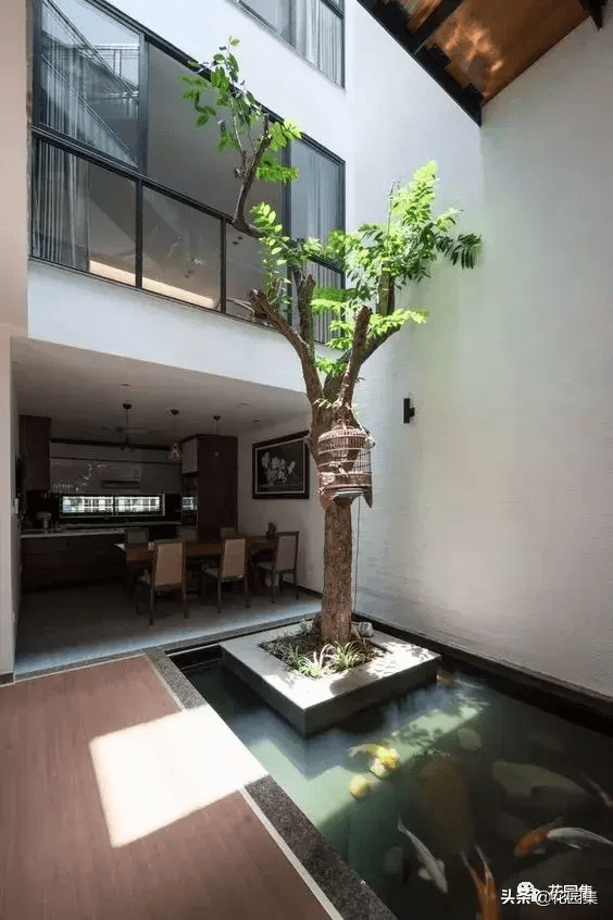 平台花园转角鱼池风水好不好(花园西北角建鱼池好不好)