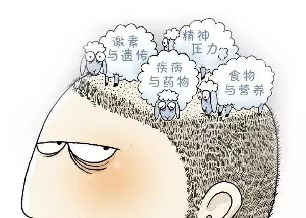 头发掉的非常厉害是怎么回事(头发掉的厉害是咋回事)