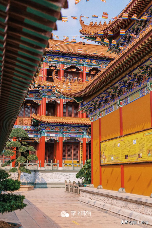 金台寺风水格局旧金台寺