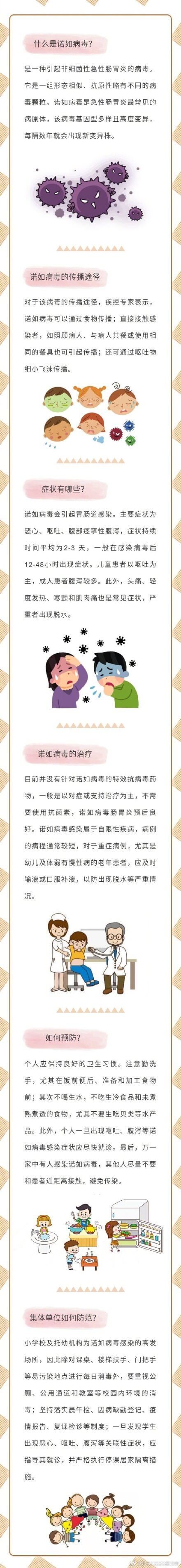 诺如病毒是什么病?(怎样确定是不是诺如病毒)