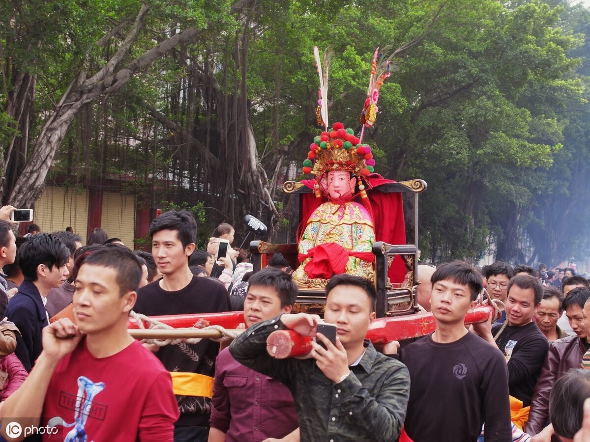 金翼讲家族风水(金翼家族鸽舍)