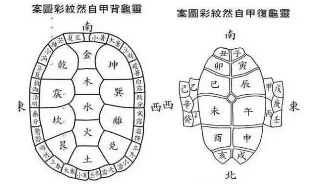 26甲风水龟图解图片