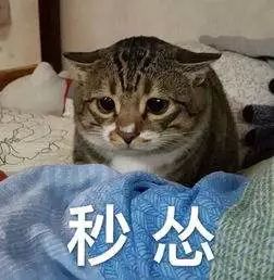 12315官网查询商品真伪下载(化妆品真伪查询扫一扫)