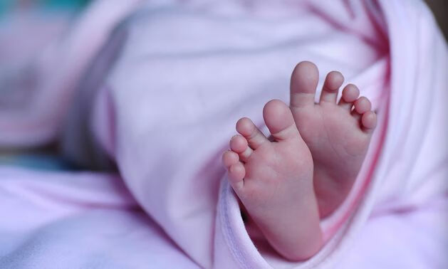 供胚移植试管婴儿是怎么回事(试管婴儿移植囊胚过程)