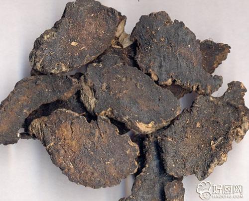玄参的功效与作用与主(玄参的作用和功效图片)