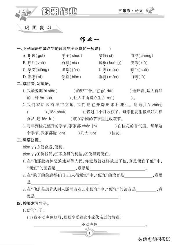 五年级语文寒假作业（上册）42页，知识全面，难度适中，附答案