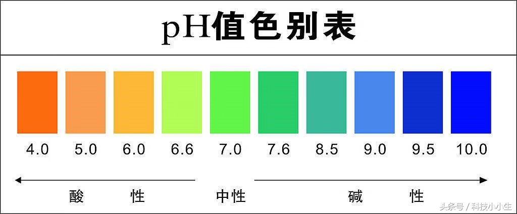 碱性体质的人有什么特征(碱性体质的表现)