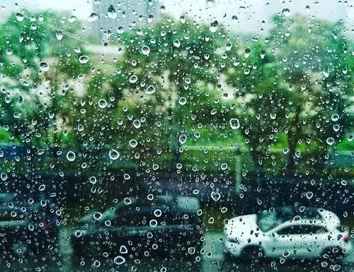 跳蚤怕什么东西(跳蚤怕什么东西或者味道)