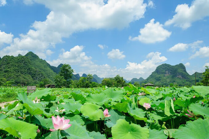 广西百色靖西风水宝地(广西风水宝地大全)