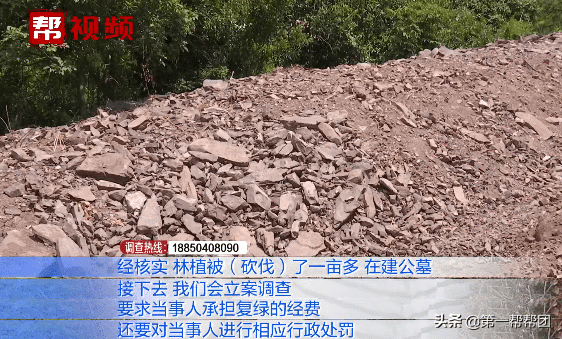 坟墓建在林地怎么处理(林地风水下葬方向)