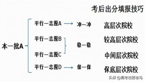 平行志愿填报需要顺序吗?(平行志愿有先后顺序吗)