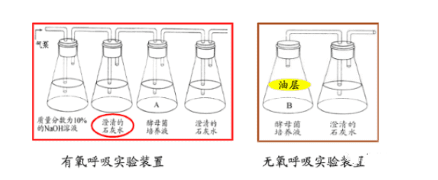 质壁分离的条件(质壁分离程度)