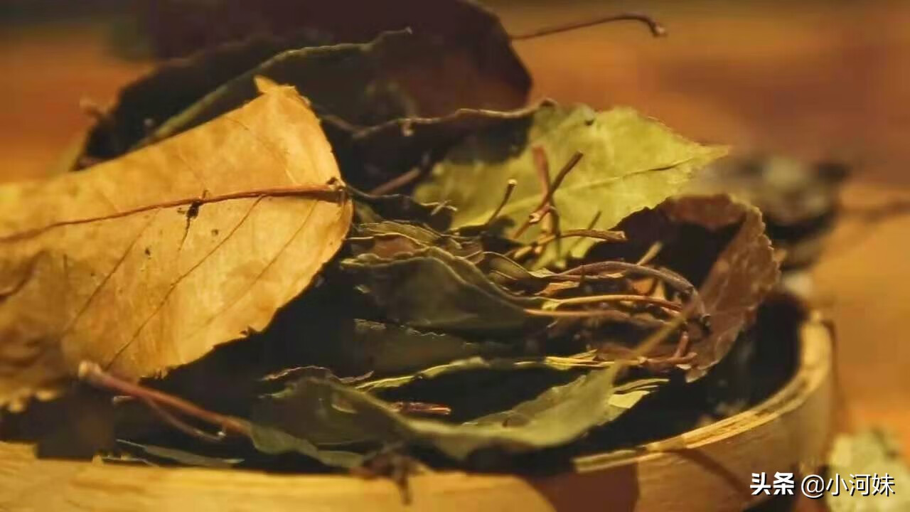 山楂叶茶(山楂叶图片)